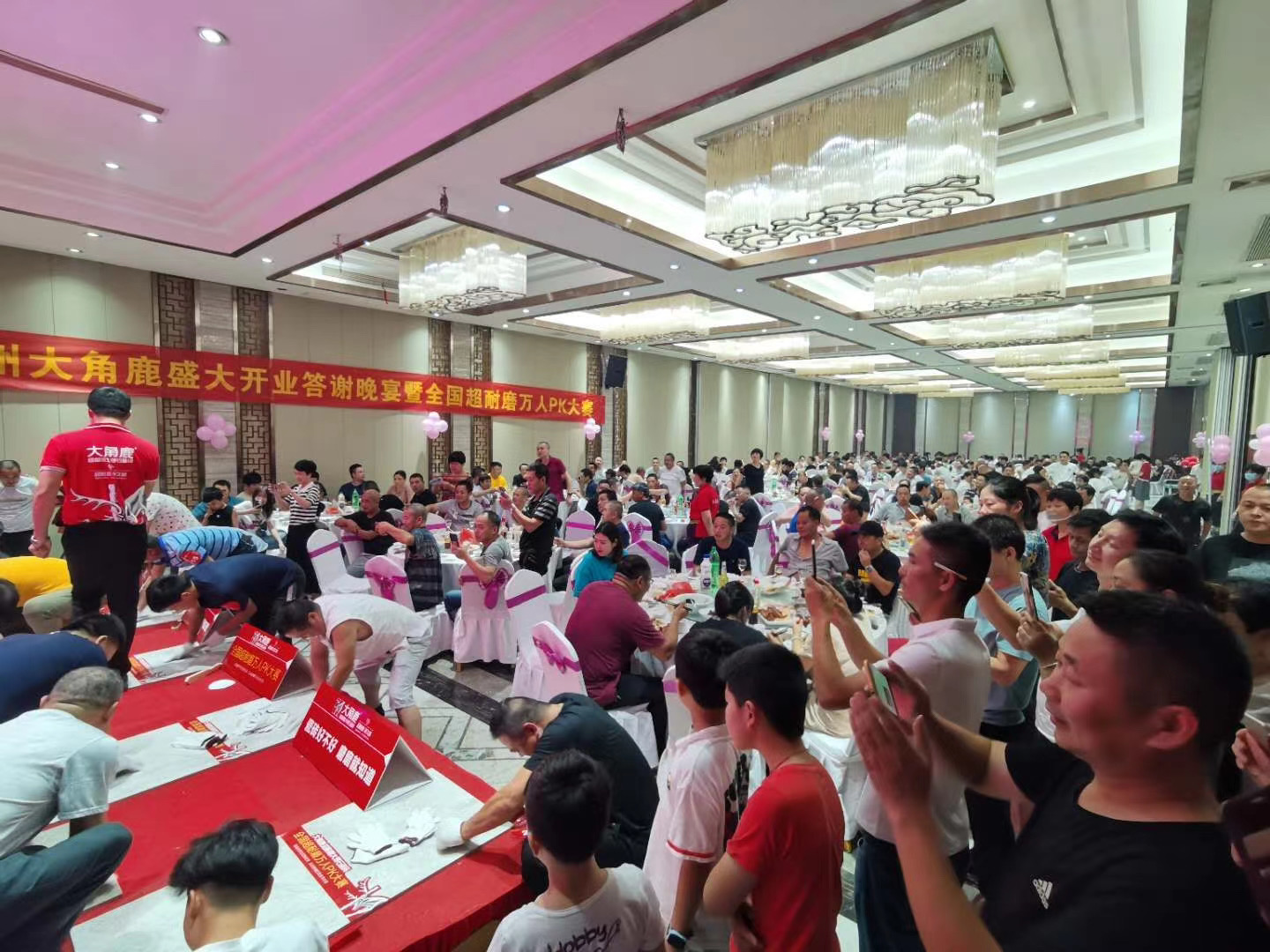 葫芦娃官网在线入口
